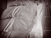 Winter Ghosts Image